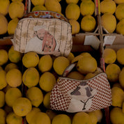 Ethnik Moroccan illustrated pouches displayed on fresh yellow lemons