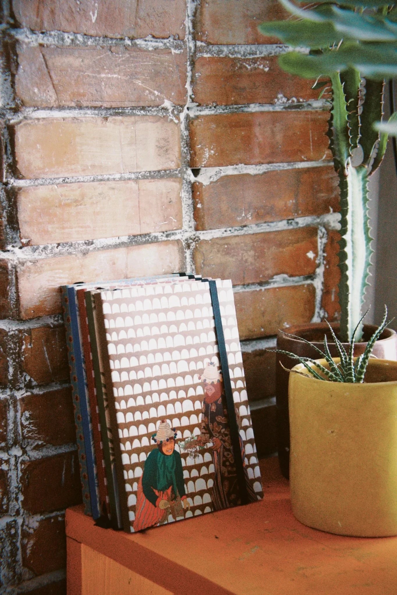 Ethnik Moroccan illustrated notebooks on shelf beside cactus plant, rustic brick wall background